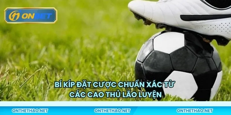 Bí kíp đặt cược chuẩn xác từ các cao thủ lão luyện