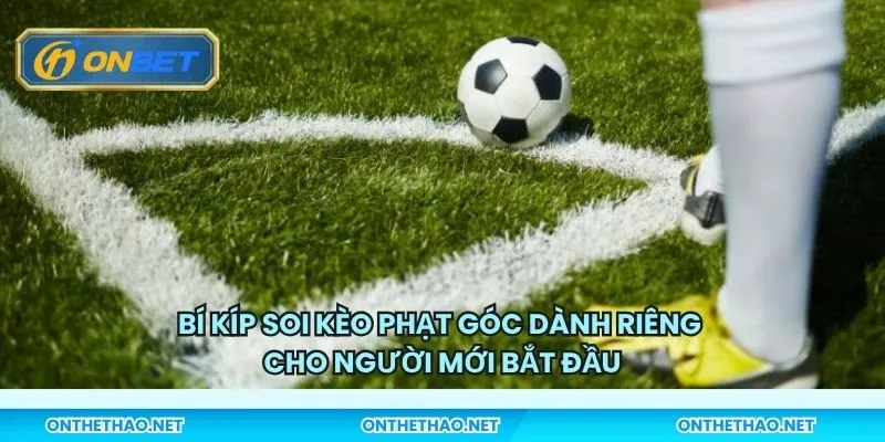 Bí kíp soi kèo phạt góc dành riêng cho người mới bắt đầu