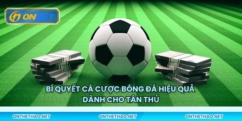 Bí quyết cá cược bóng đá hiệu quả dành cho tân thủ