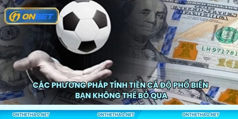 Các phương pháp tính tiền cá độ phổ biến bạn không thể bỏ qua