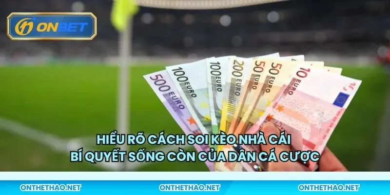 Hiểu rõ cách soi kèo nhà cái – Bí quyết sống còn của dân cá cược