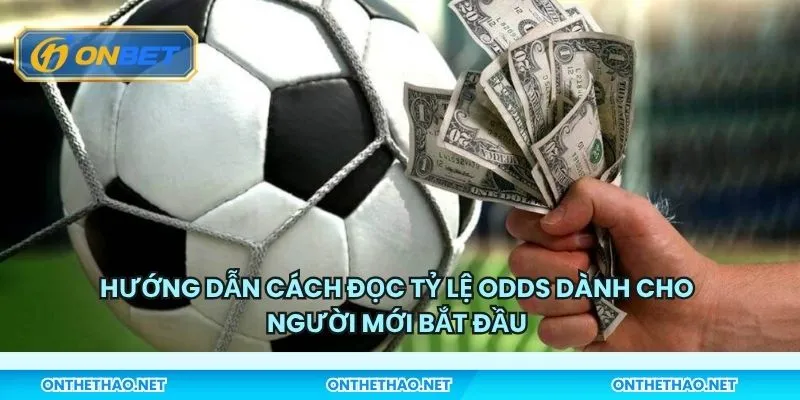 Hướng dẫn cách đọc tỷ lệ Odds dành cho người mới bắt đầu