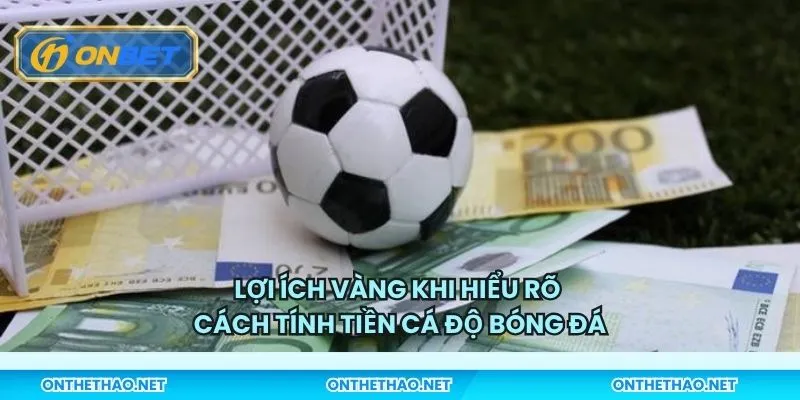 Lợi ích vàng khi hiểu rõ cách tính tiền cá độ bóng đá